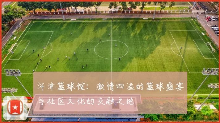 河津篮球馆：激情四溢的篮球盛宴与社区文化的交融之地