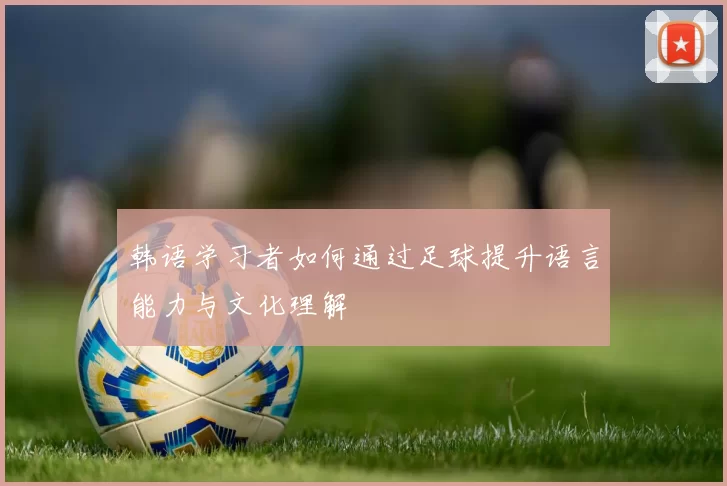 韩语学习者如何通过足球提升语言能力与文化理解